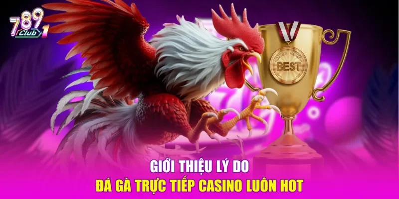 Giới thiệu lý do đá gà trực tiếp casino luôn hot